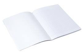 CAHIER TRAVAUX PRATIQUE 2 FEUILLES 144 PAGES GRAND FORMAT